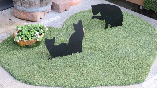 風水師 四宮一厳 氣の在る人工芝に黒猫の表情 印刷ページ
