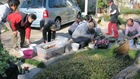 ８４回NO２本年最後の園芸医療教室クリスマス用の寄せ植えを行いました