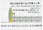 進化の氣を創り出す門構えと塀