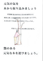 氣を木で取り込み元氣に成りましょう。